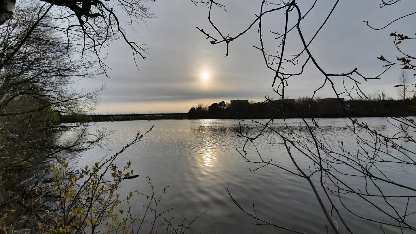 Le Soleil Du 8 Mai 2021 (Vue 0)