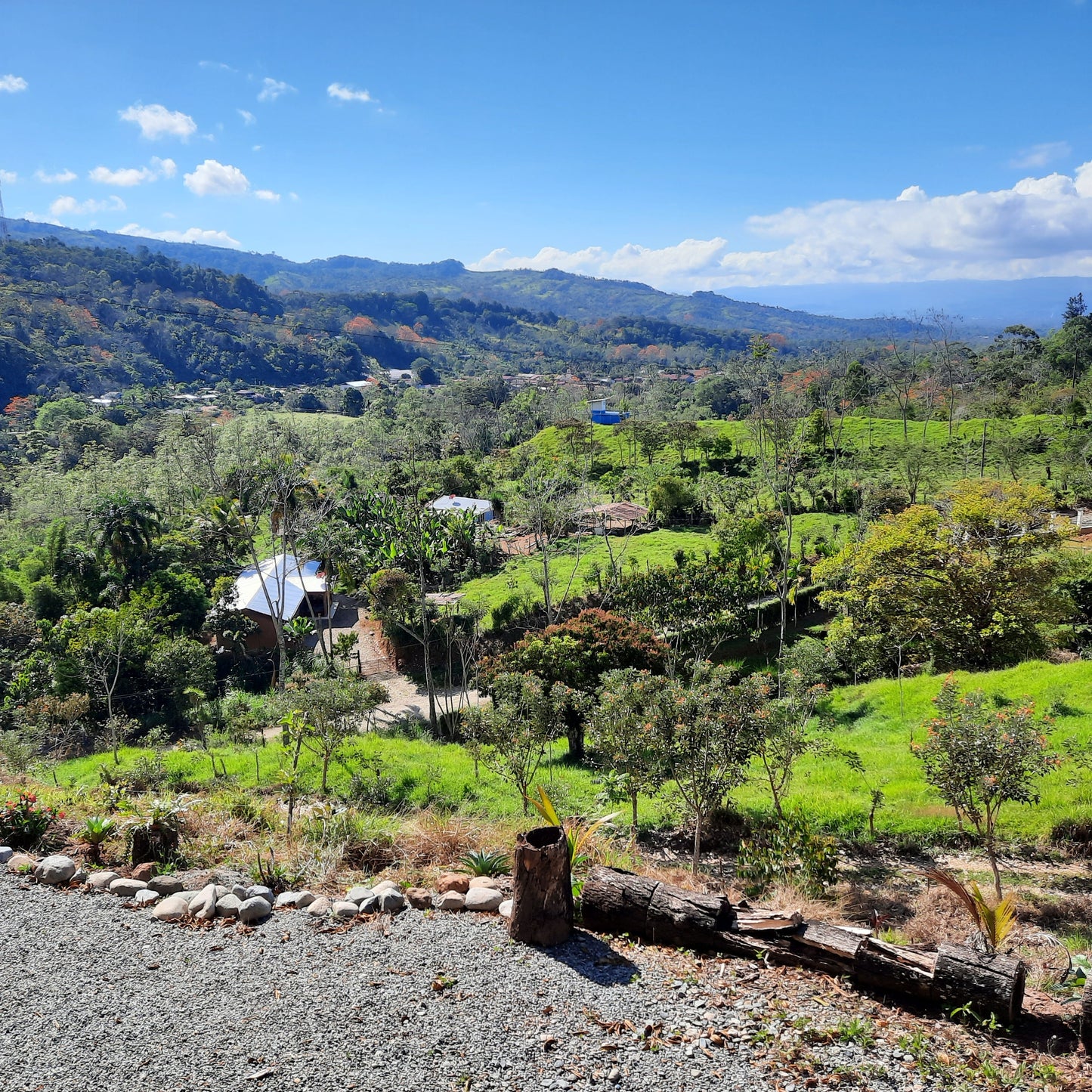 Rivas Versus Sherbrooke