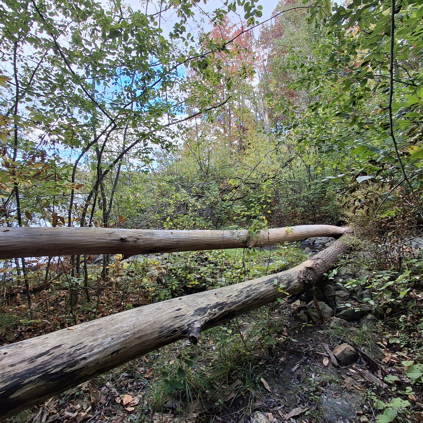 2024-09-29 (View G1)