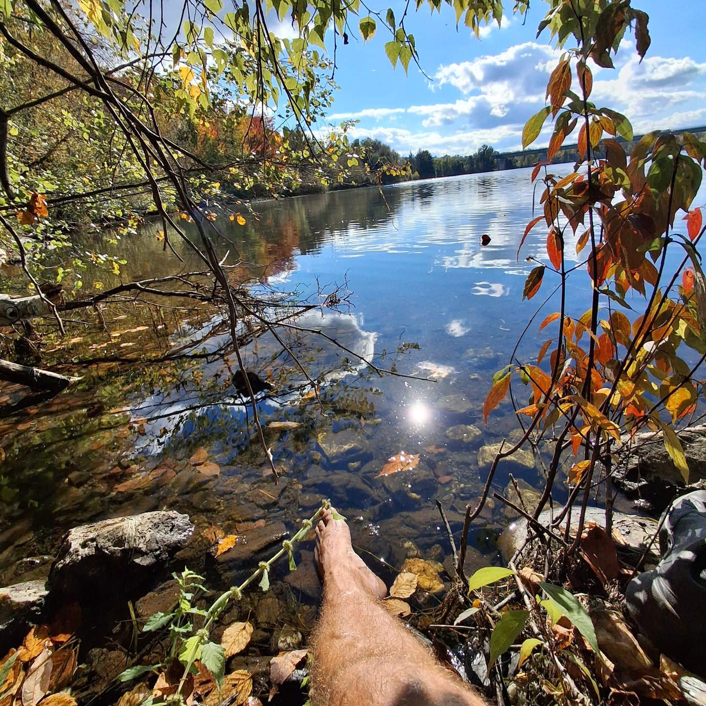 2024-09-29 (View 1.2)