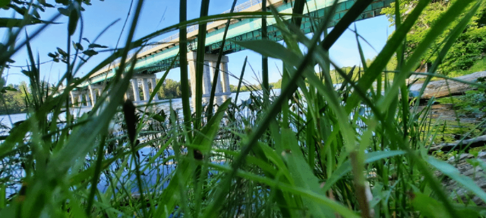 2022-06-25 (Ver K1) animación