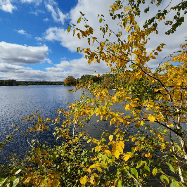 2022-09-29 Otoño (Ver 2.3) #animación