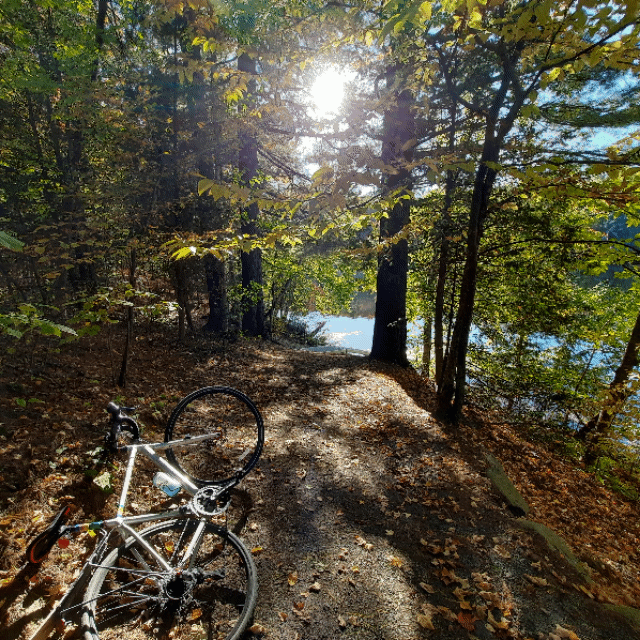 2022-10-05 Río Magog (Ver Q5) #animación