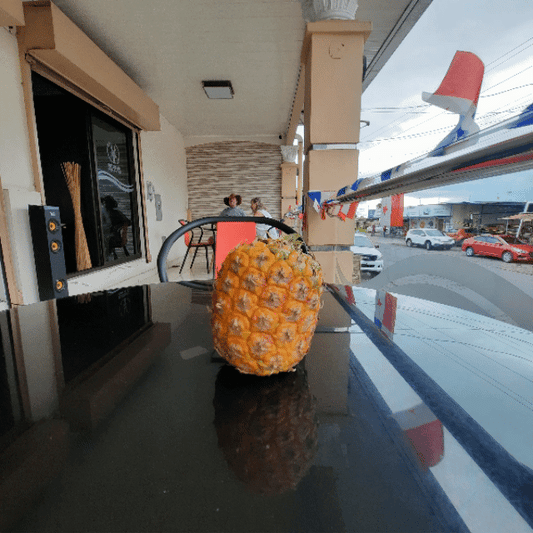 Trouve le prix d'un ananas au Panamá?