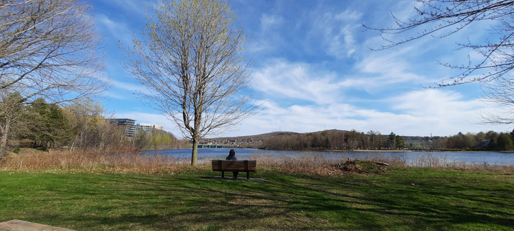 Sherbrooke 4 Pins Park