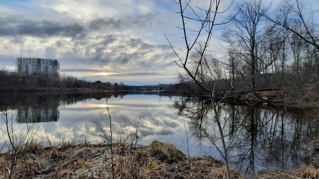 Sherbrooke Se Réveille Photo Numérique