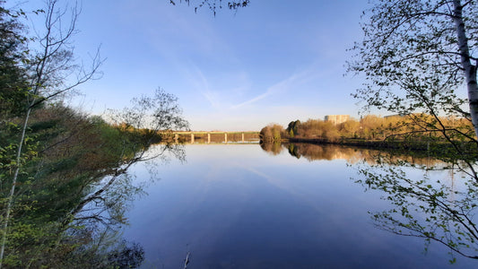 15 Mai 2021 (Vue 2)