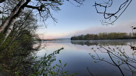 La Brume 17 Mai 2021 (Vue 0)