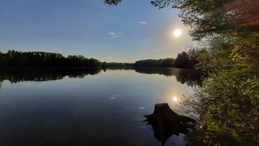 Le Soleil Du 21 Mai 2021 (Vue Souche)