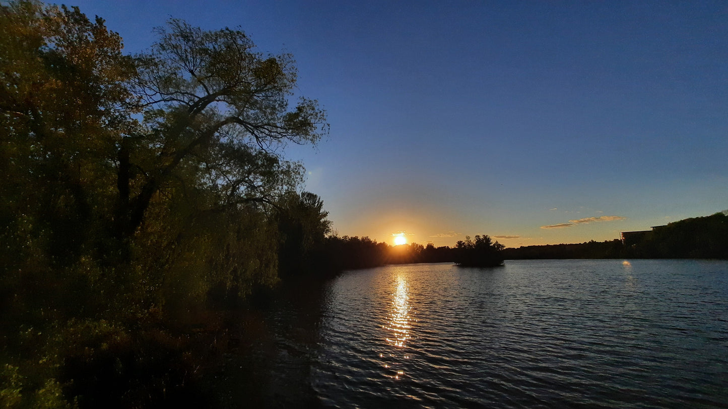 Le Grand Saule Au Coucher De Soleil Du 23 Mai 2021 (Vue T2)