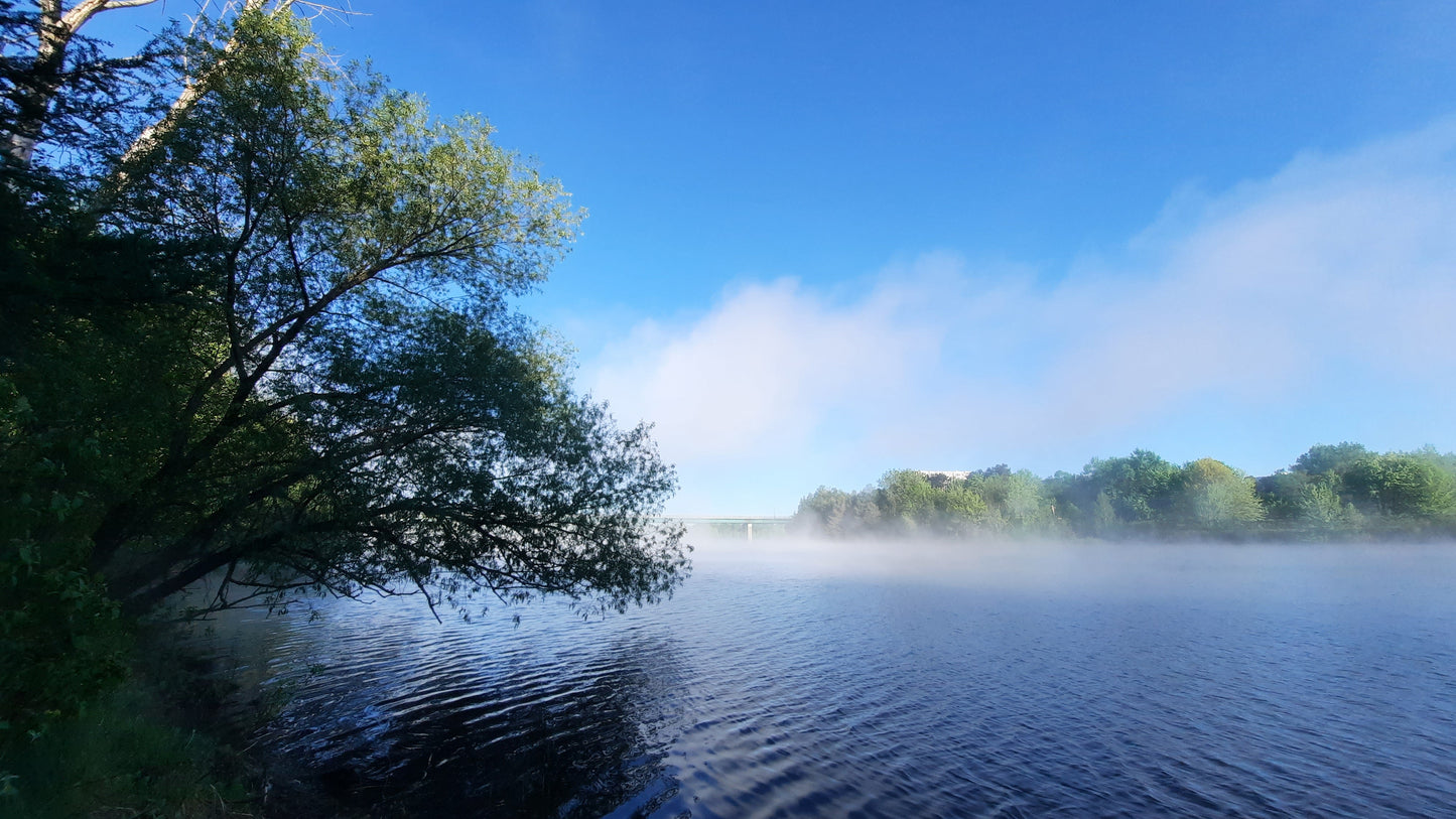 Le Ciel Bleu Et La Brume Du 24 Mai 2021 (Vue S1)