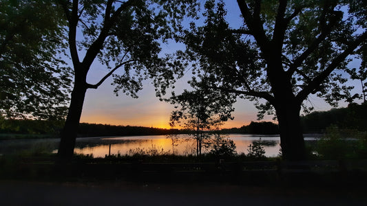 L’aube Du Lac Des Nations 25 Mai 2021 (Vue Bp1)