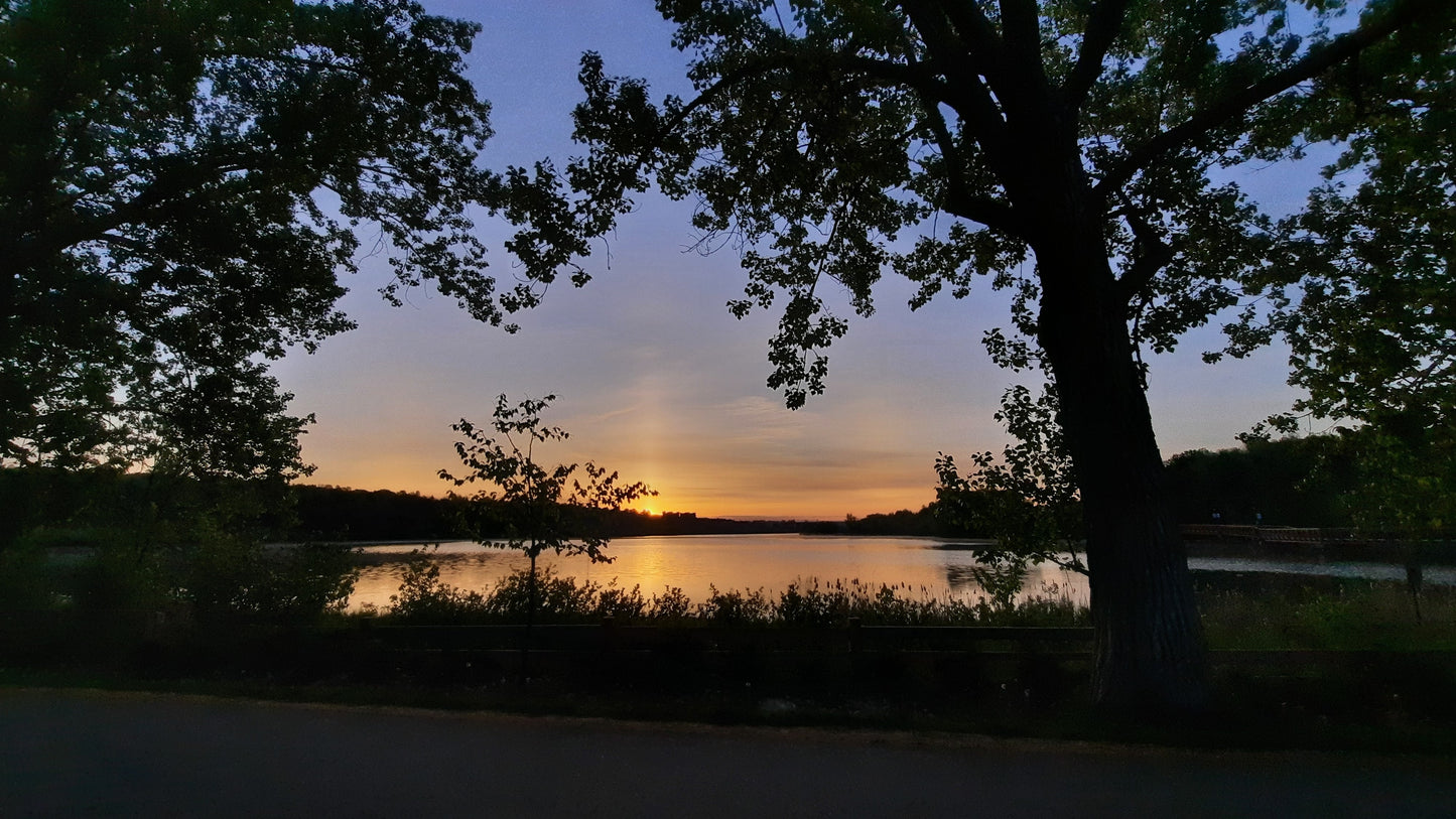 Le Soleil Du Lac Des Nations 25 Mai 2021 (Vue Bp2)