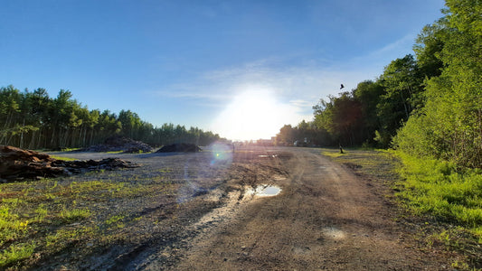 Soleil Blanc Du 29 Mai 2021 (Vue Nouvelle)