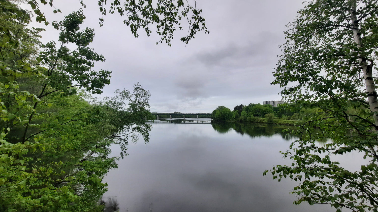 La Pluie Du 31 Mai 2021 (Vue 2) 5H43