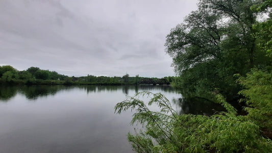 La Pluie Du 31 Mai 2021 (Vue S13) 5H49