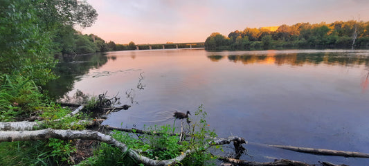 Trouve Le Canard 28 Août 2021 6H14 (Vue 1) Pont Jacques Cartier De Sherbrooke