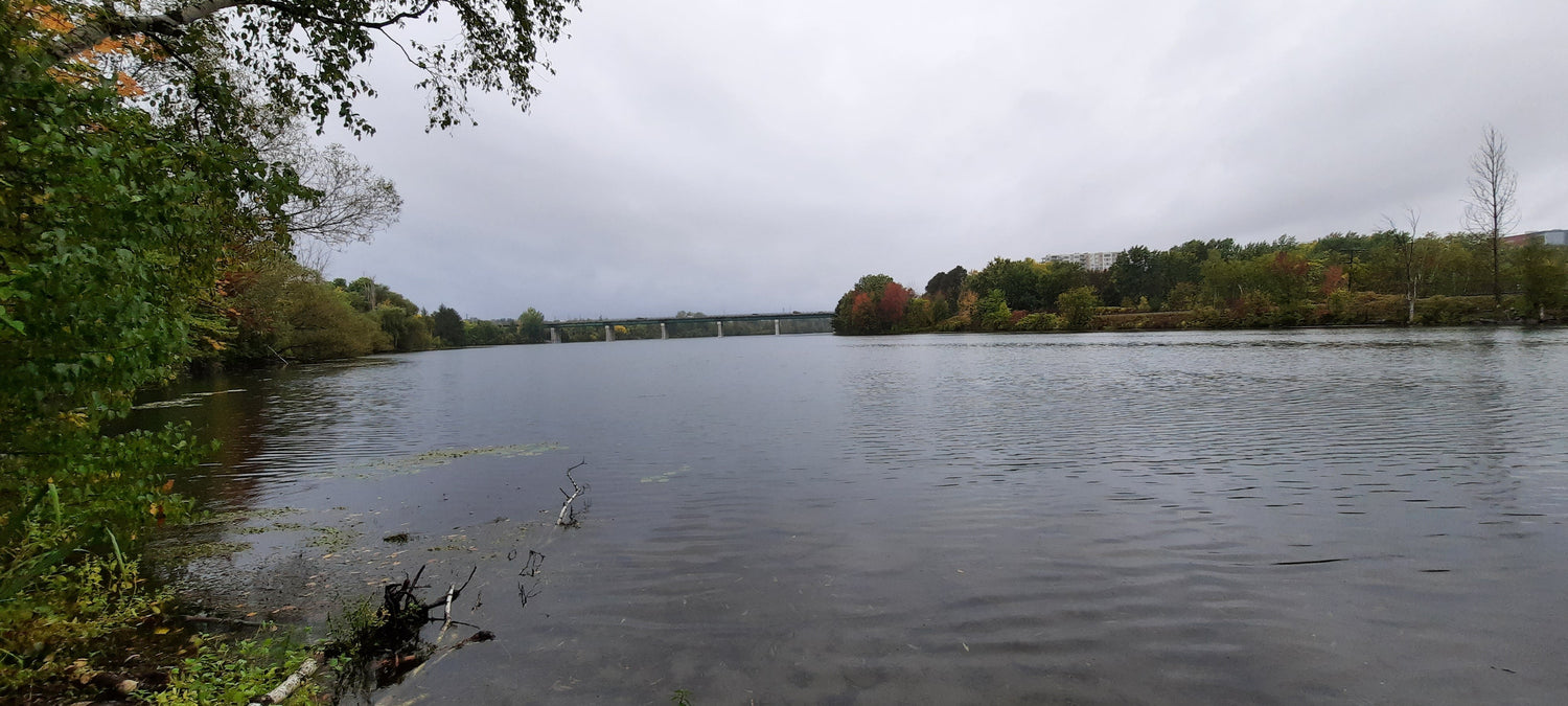 La Pluie Du 27 Septembre 2021 16H33 (Vue 1) Rivière Magog À Sherbrooke. Pont Jacques Cartier