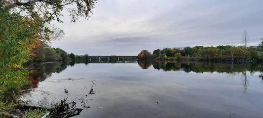Trouve Les Bernaches Du 5 Octobre 2021 17H22 (Vue 1) Rivière Magog À Sherbrooke. Pont Jacques