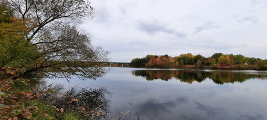 10 Octobre 2021 7H35 (Vue S1) Réflexion Du Dimanche