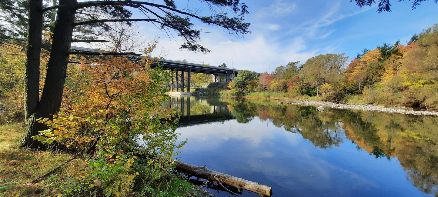 Le Pont De La 410 À Sherbrooke (Pont Maurice-Gingues) 11 Octobre 2021