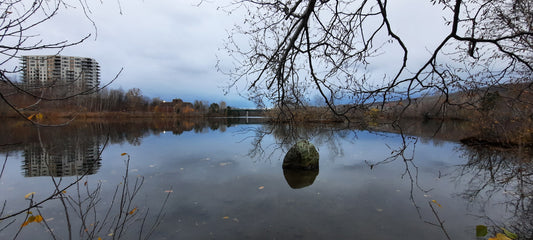 2021-11-13 15:40 Sherbrooke (Vue Rocher)