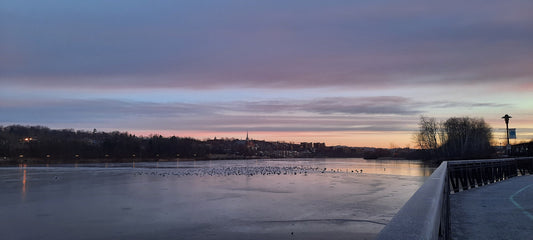 Trouve Les Oiseaux À L’aube 2021-12-15 (Vue Pp20)