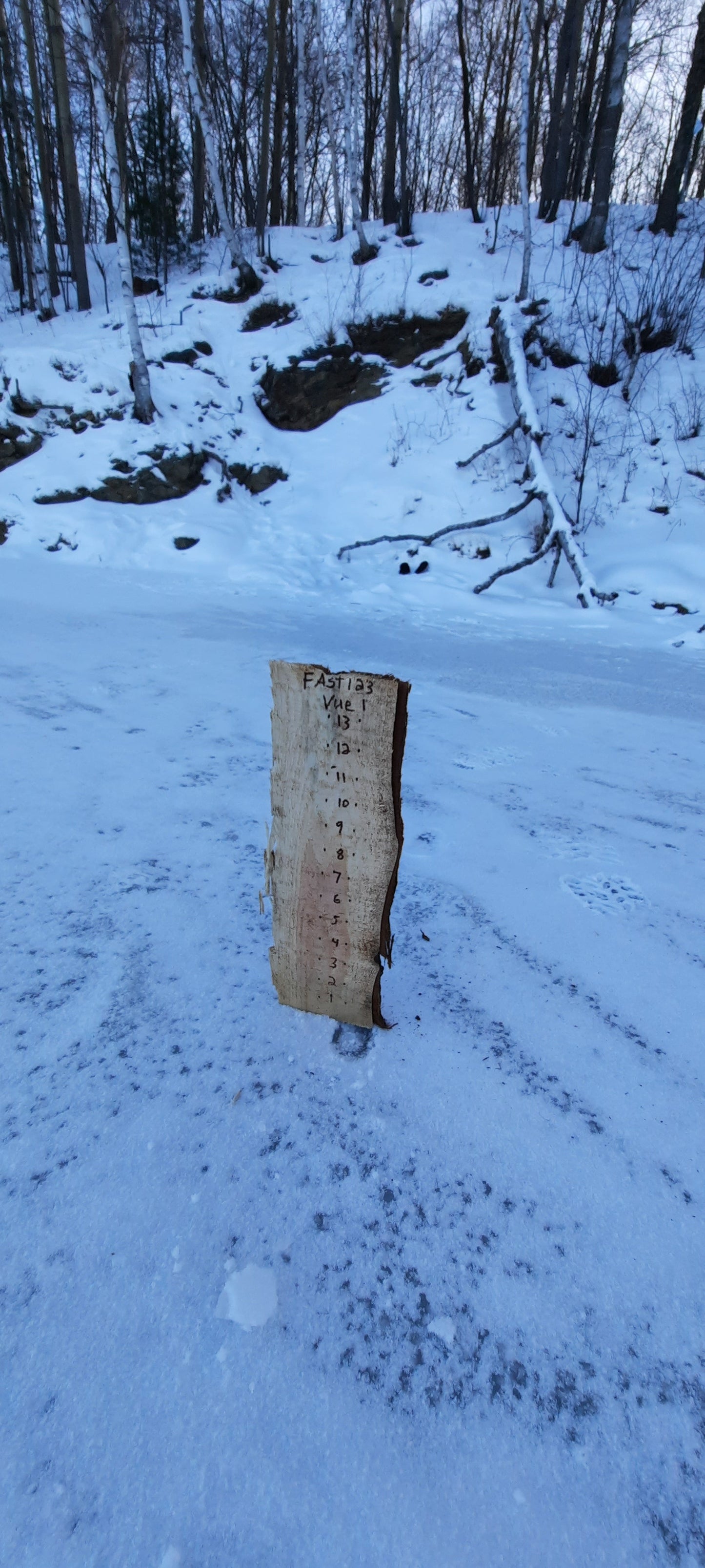 (Math)Trouve La Quantité De Neige Sur Glace (Vue 1) -1 ***