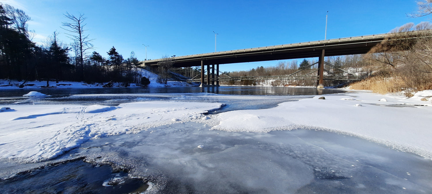 Pont Maurice-Gingues