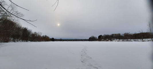 Le Bourgeon Soleil (Vue 1)