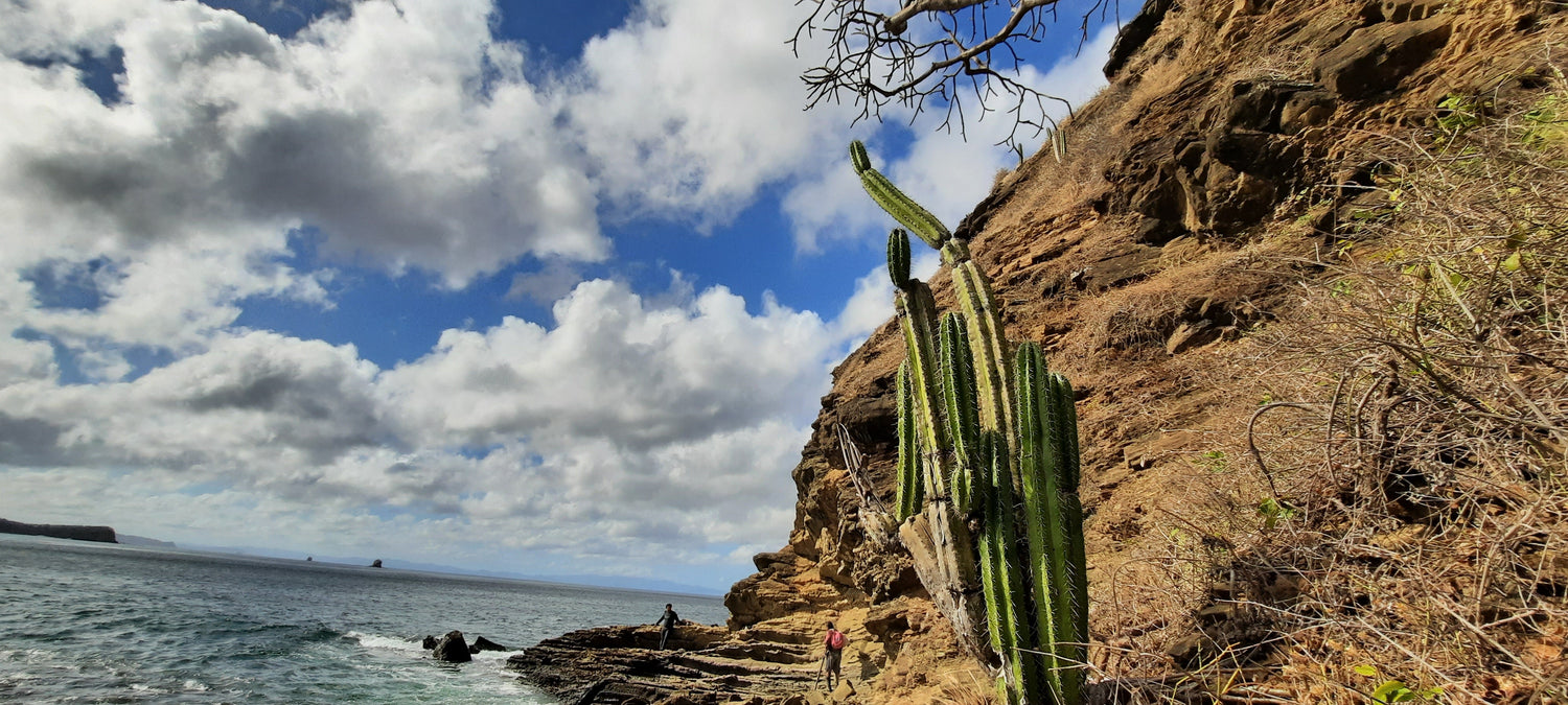 Playa El Remanzo