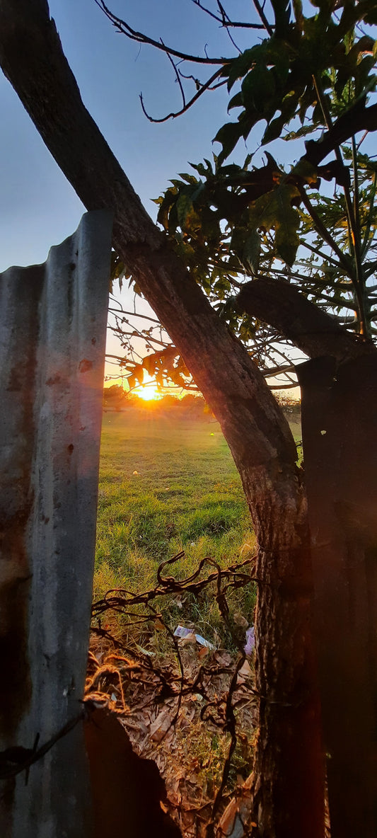 Coucher De Soleil Au Nicaragua