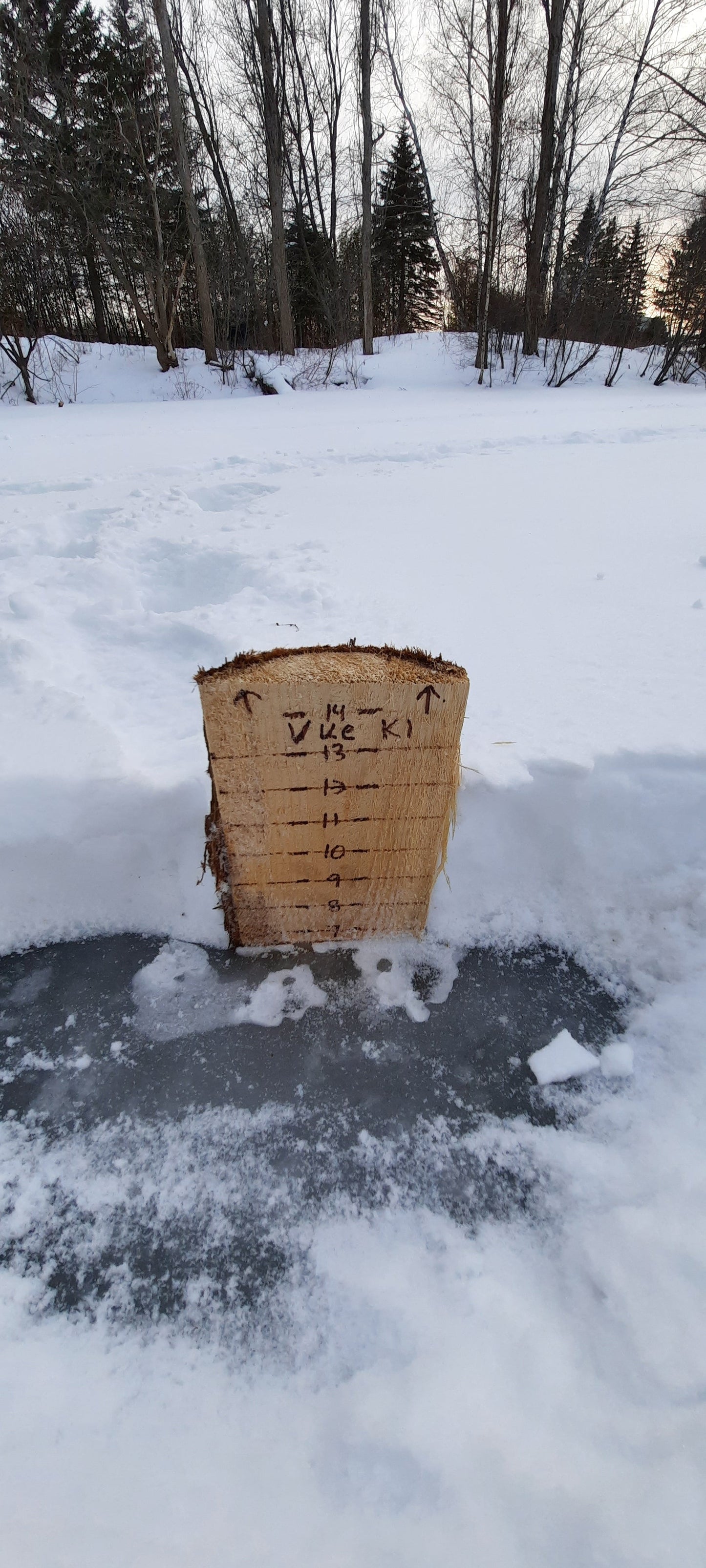 David Est De Retour Au Québec