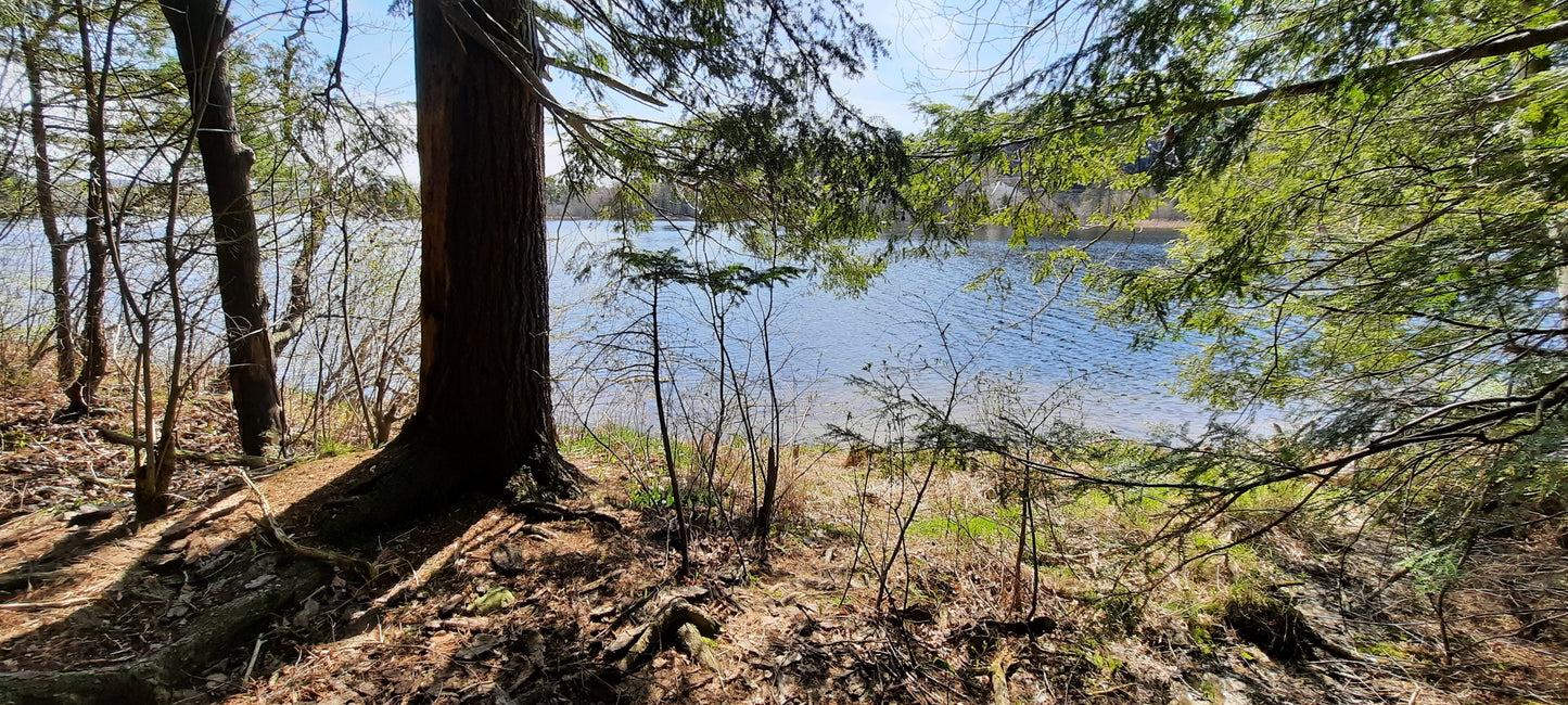 Plage Des Sables Sur La Rivière Magog À Sherbrooke