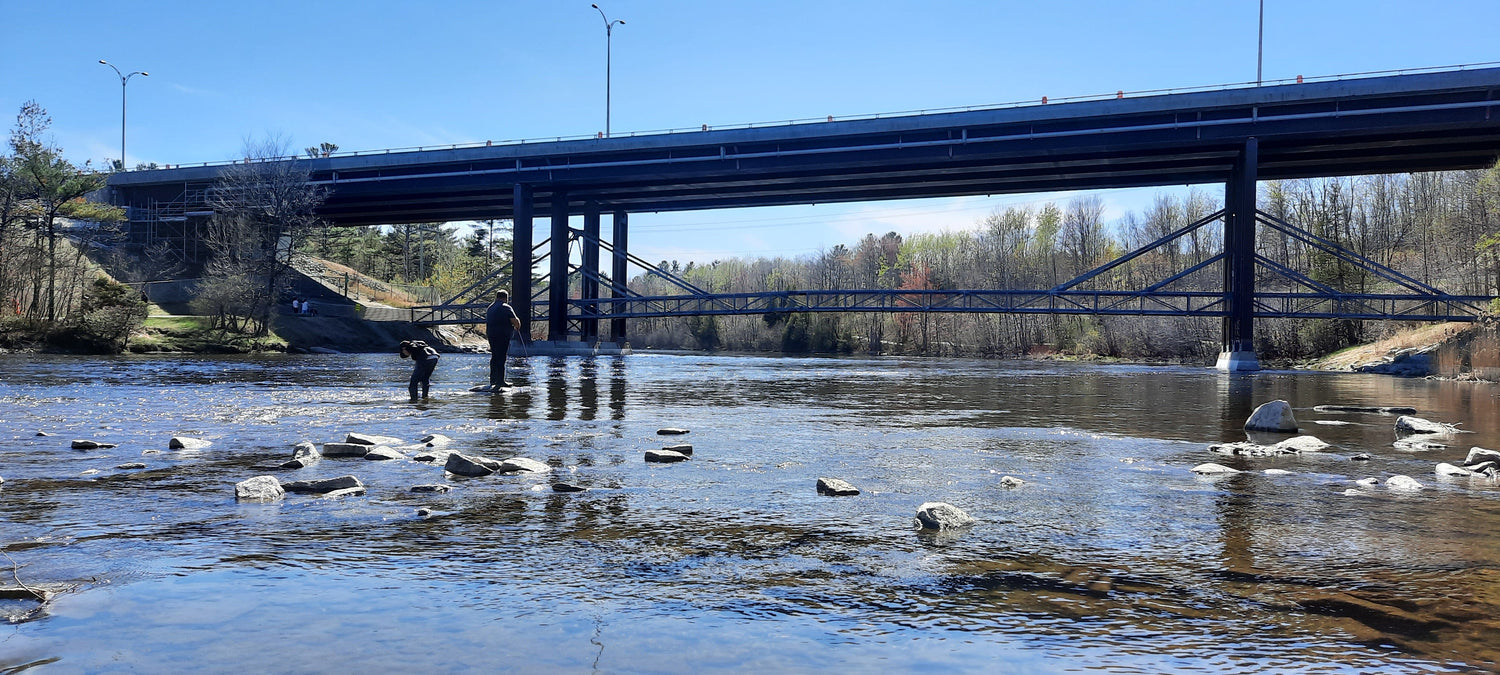 La Pêche Aux Aimants. Trouve Les 2 Personnes. (Vue Pont Maurice-Gingues) 2022-05-08