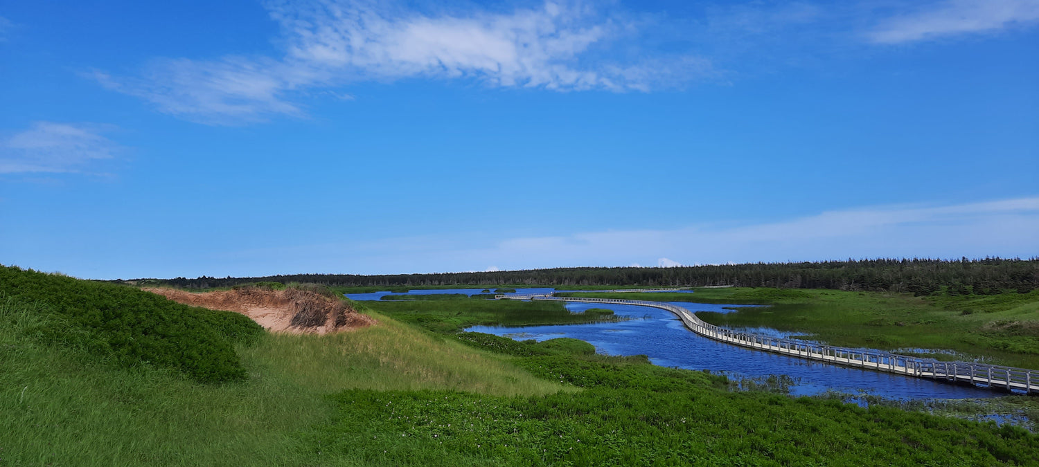 Greenwich - Prince Edward Island National Park Parc