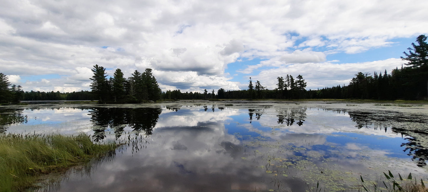 Parc Frontenac (Secteur-Sud)