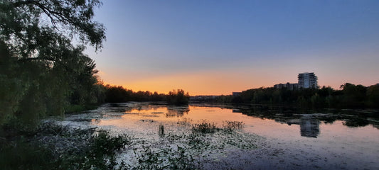 2022-09-10 19:22 Crépuscule (Vue T2)