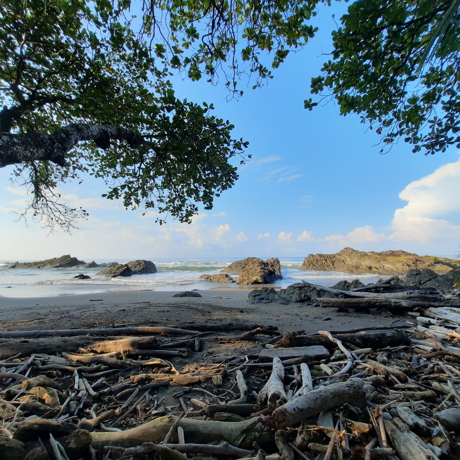 Playa Roca Verde