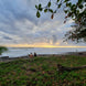 Product image thumbnail 8