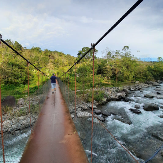 Découvrez Rivas Au Costa Rica Avec Un Guide
