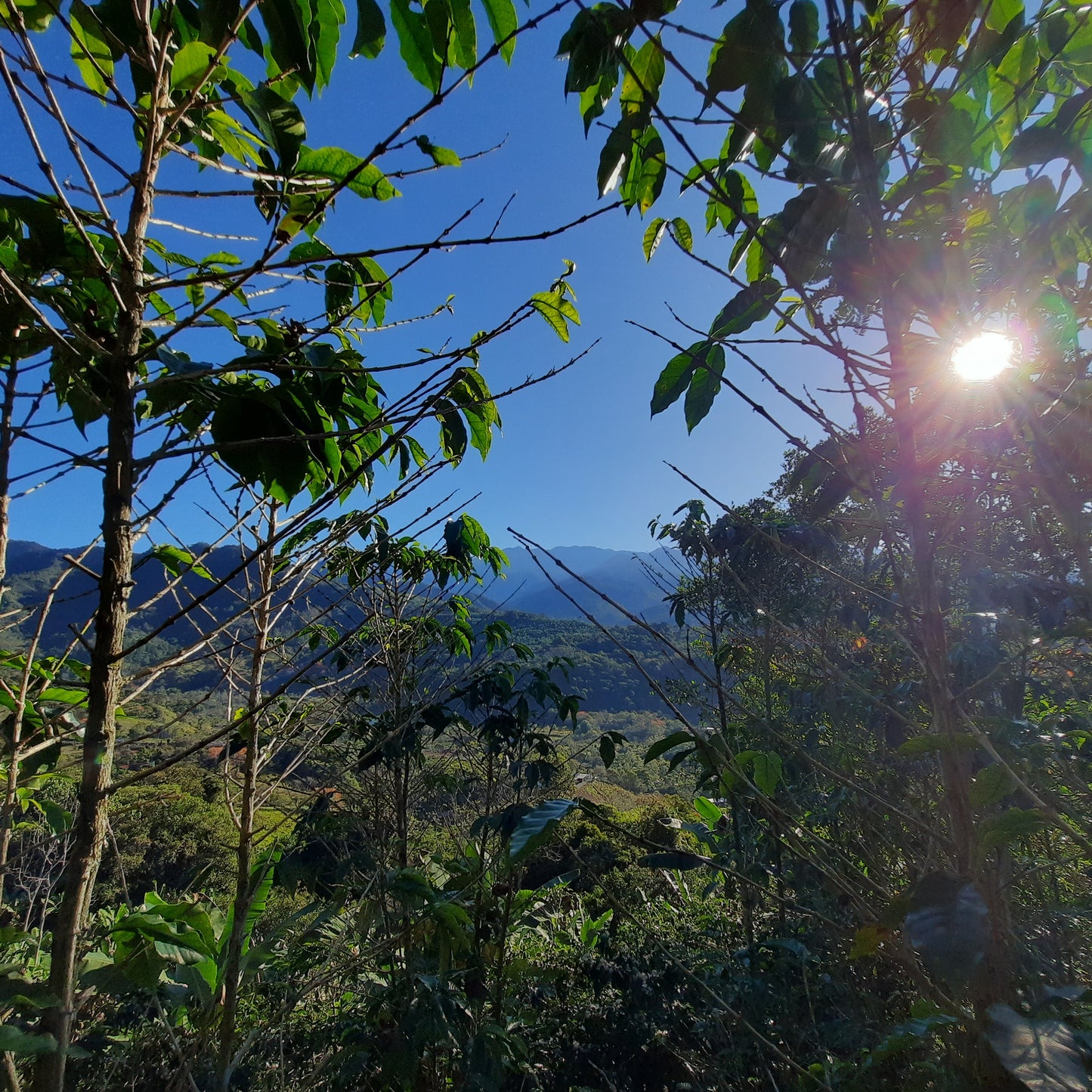 Busca La Casa Canto De Rio