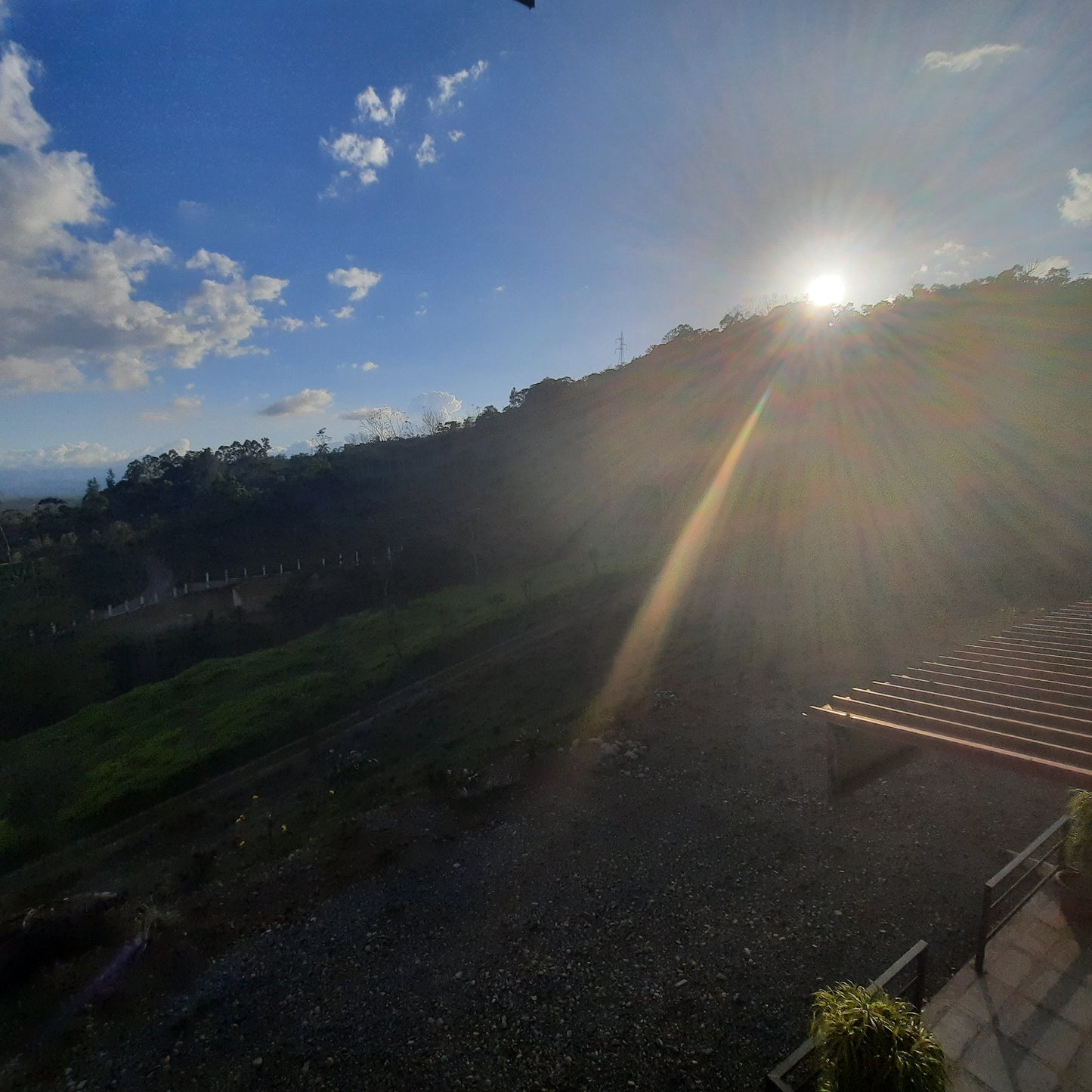 2023-02-01 Plein Soleil Sur Mon Balcon