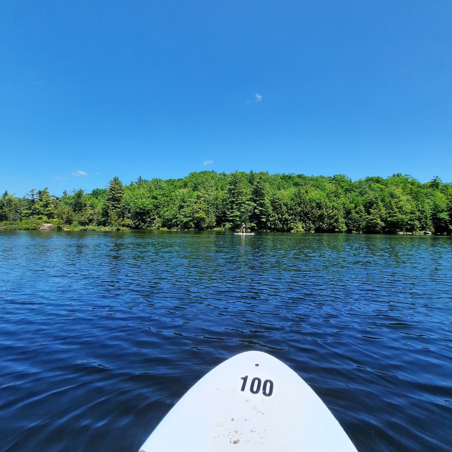 Paddle Board