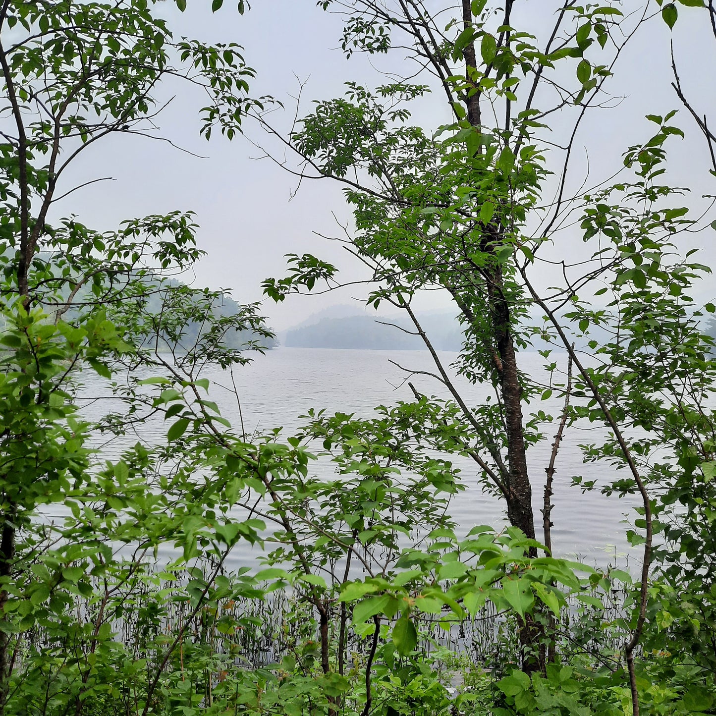 Etang Aux Cerises