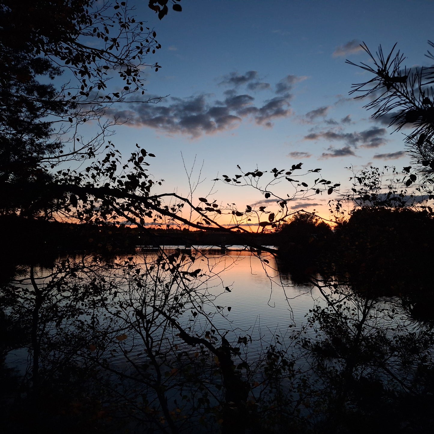 2024-10-01 18:59 Le crépuscule d'octobre (Vue 2.3)