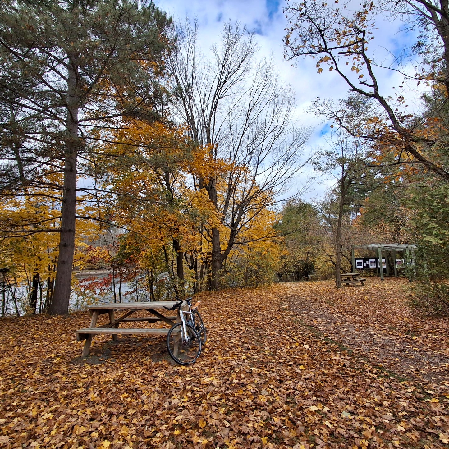 2024-10-26 Aire de repos espace photos Sherbrooke (Vue Table 1)