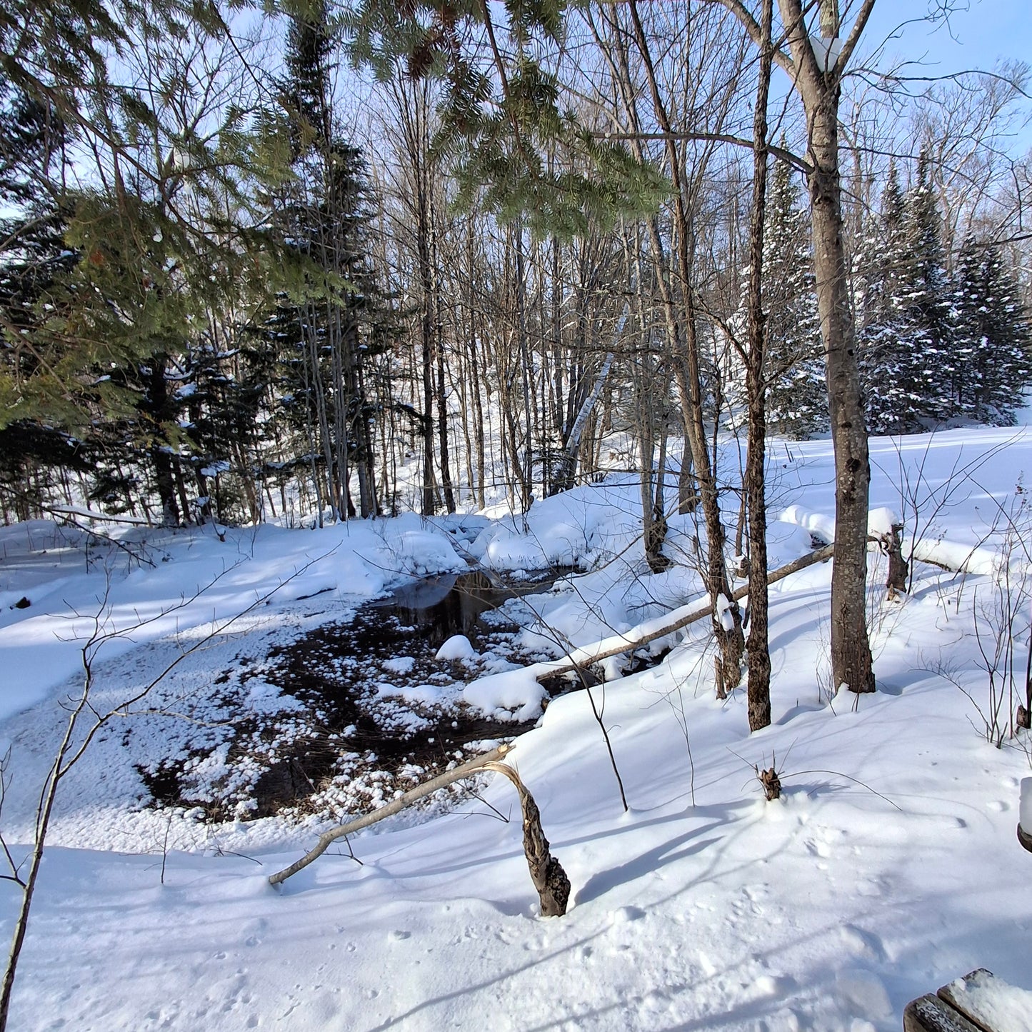 2025-12-28 Ski de fond à Orford