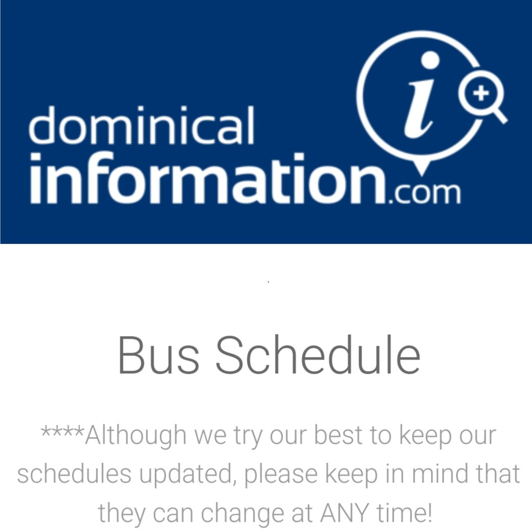 Dominical Bus