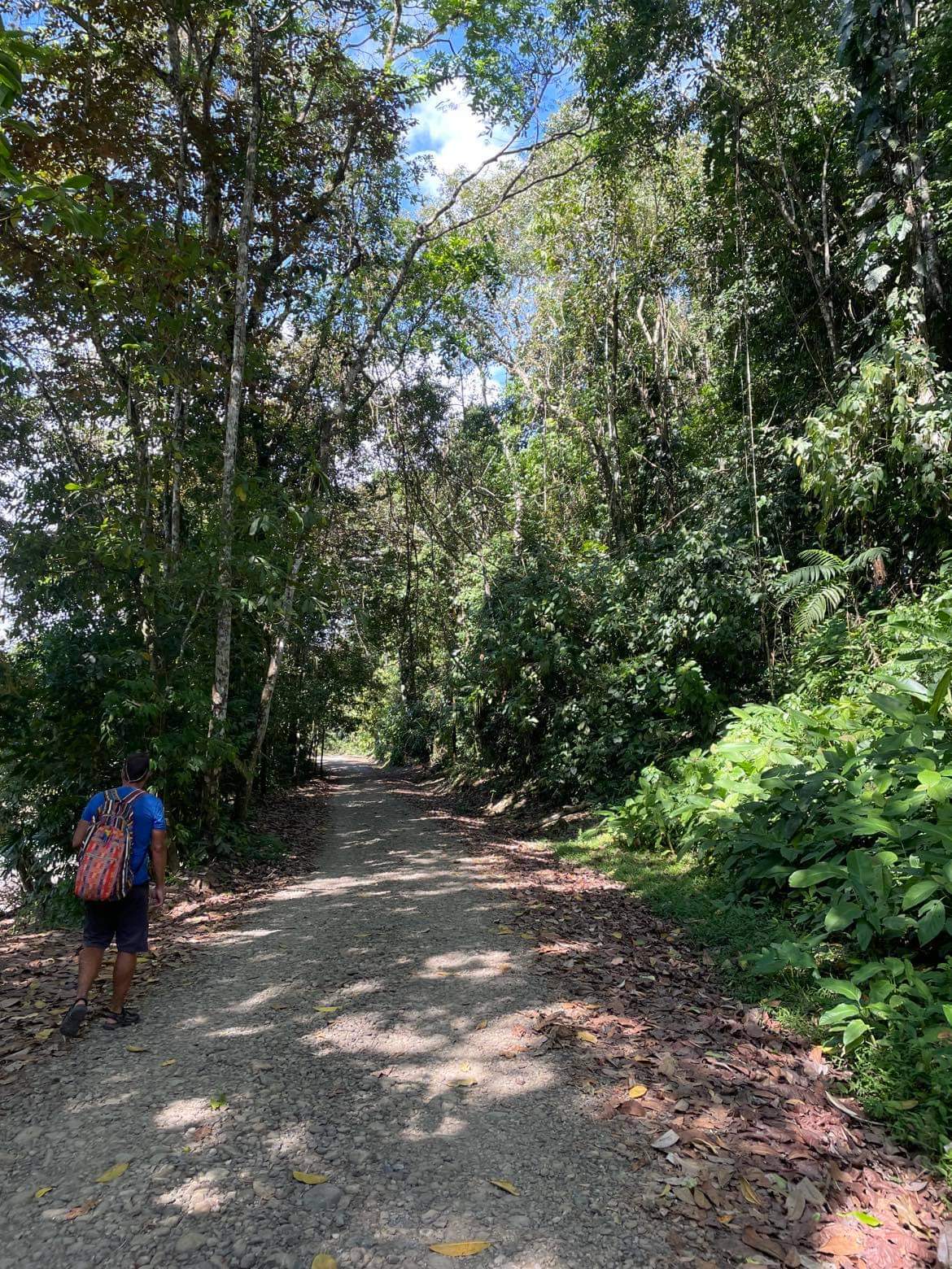 Le Sentier Du Rio Baru - Dominical